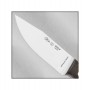 CUCHILLO ENTERIZO GRILLO MINI 130-G